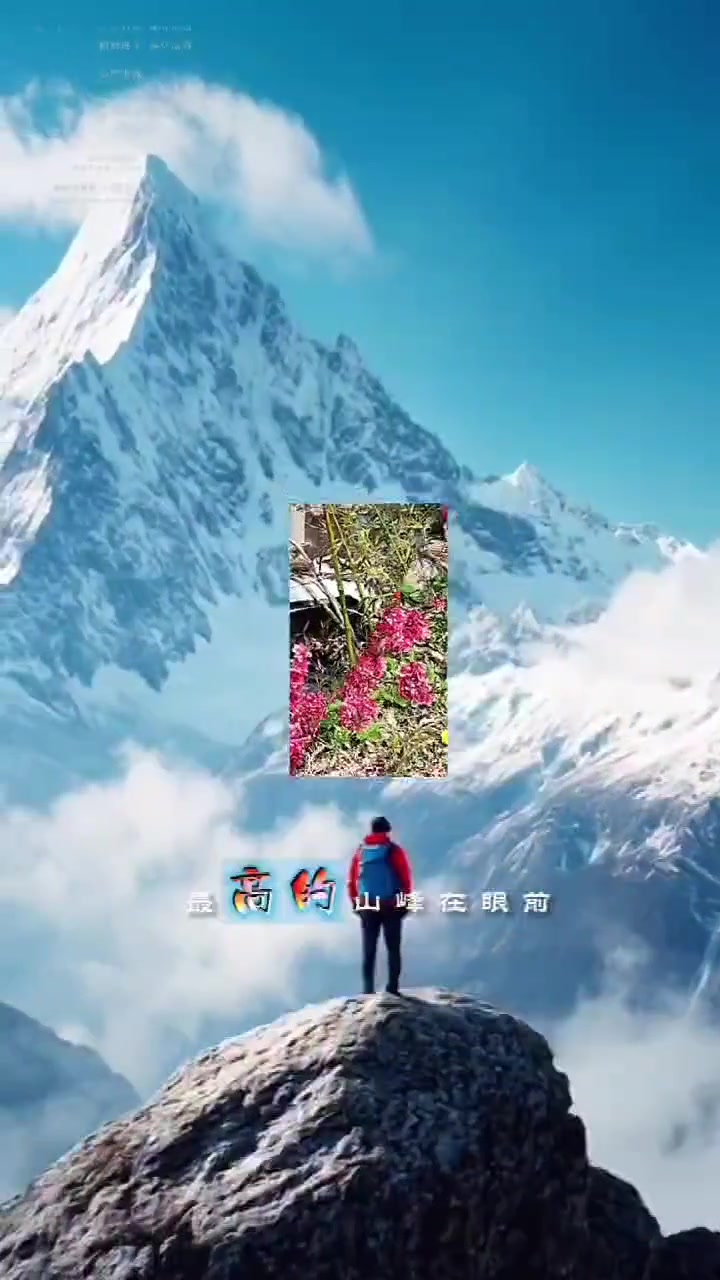 镜头下记录的各地绝美自然风景摄影作品