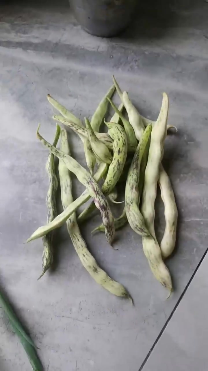 家庭自制饺子馅料制作全程步骤详解