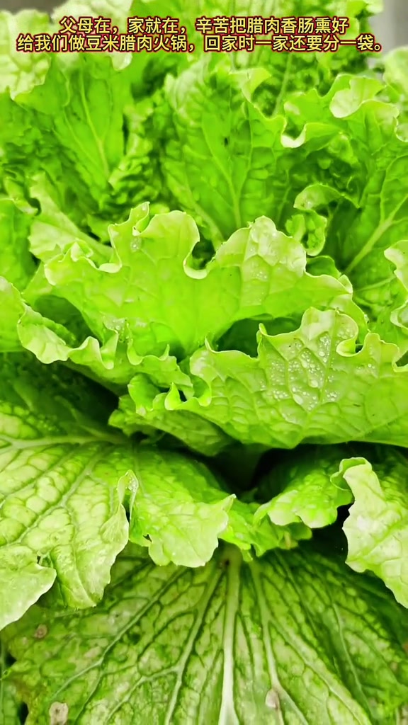 熏制腊肉制作豆米腊肉火锅满载温情
