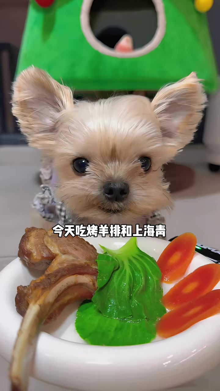 今天吃烤羊排，上海青