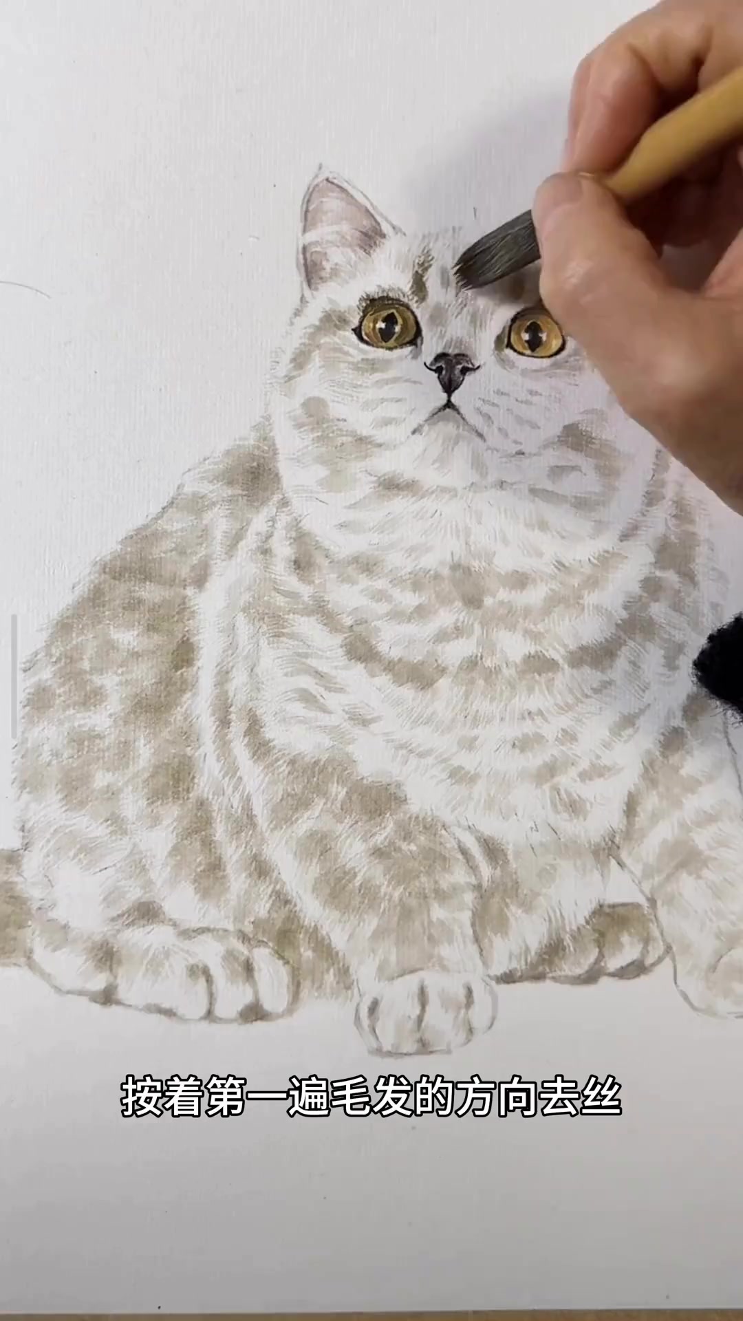 小猫这样画，国画小猫教程及传统文化