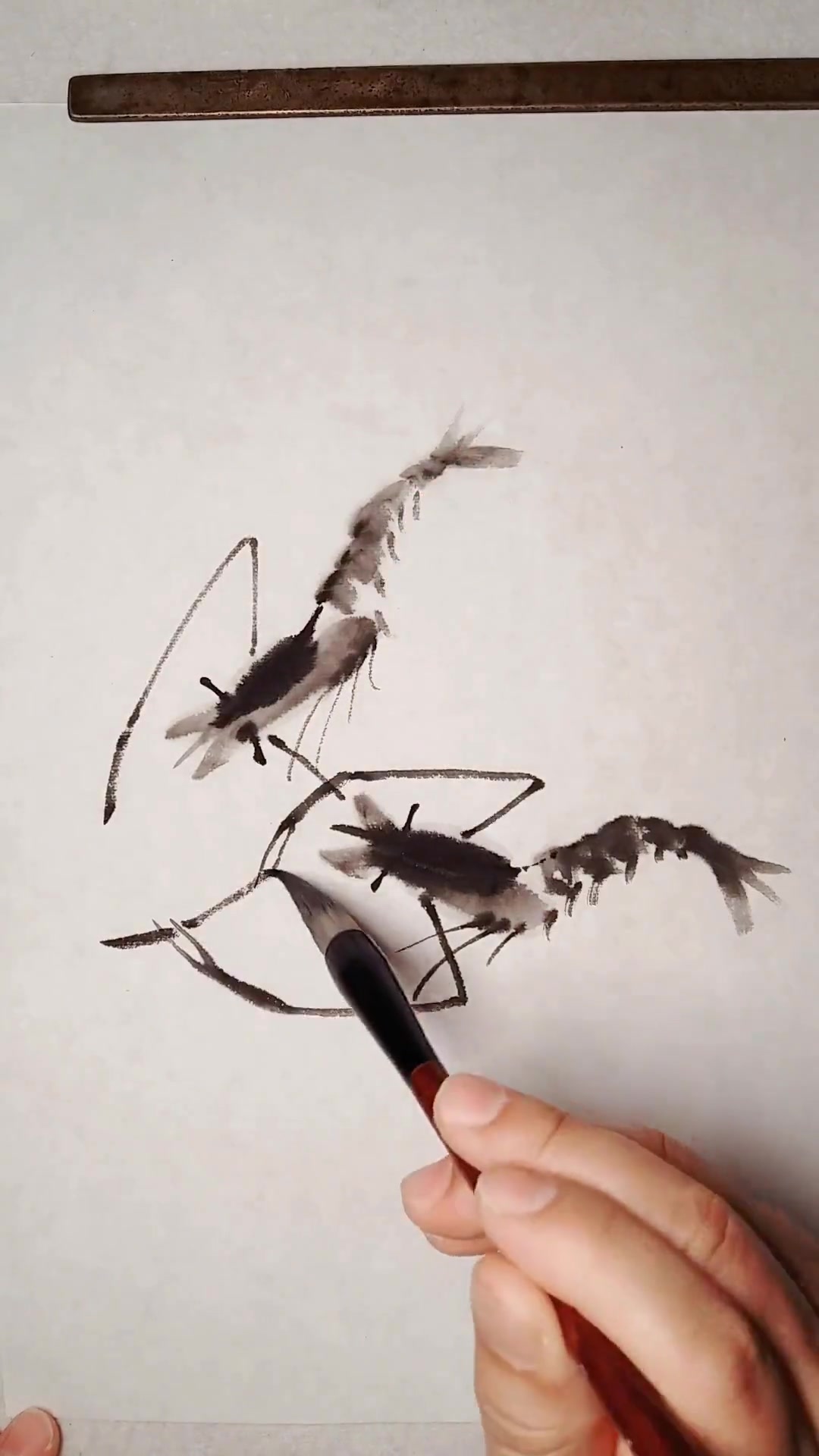 齐白石画的虾,这些国画小技巧你也能学会