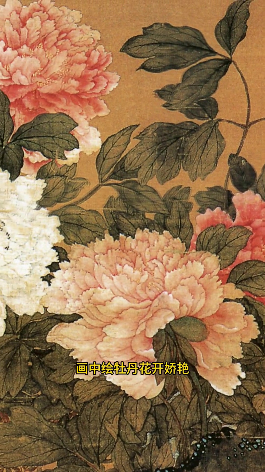 清朝大画家画国色天香，竟是这朵优雅美丽的牡丹花王