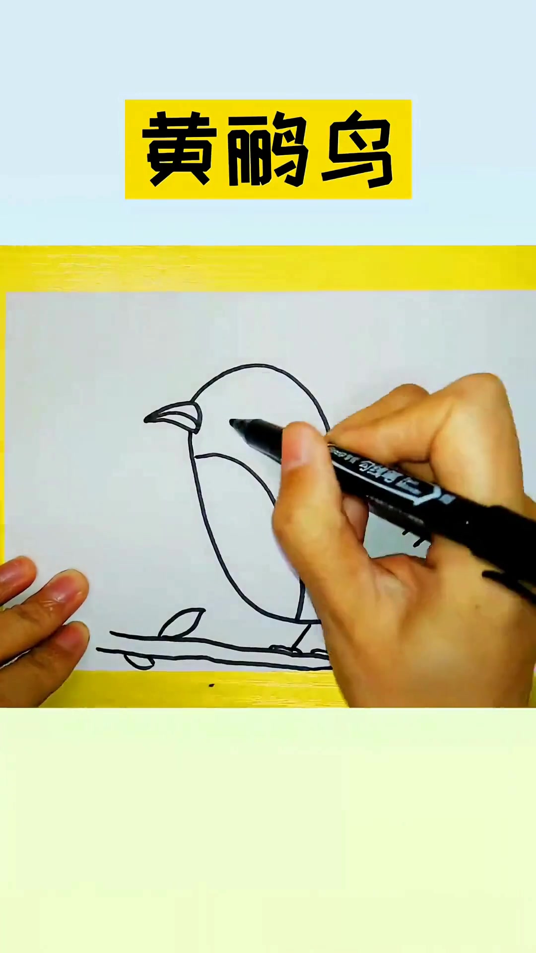 手把手教你小黄鹂鸟简笔画，简单几笔宝宝学得快