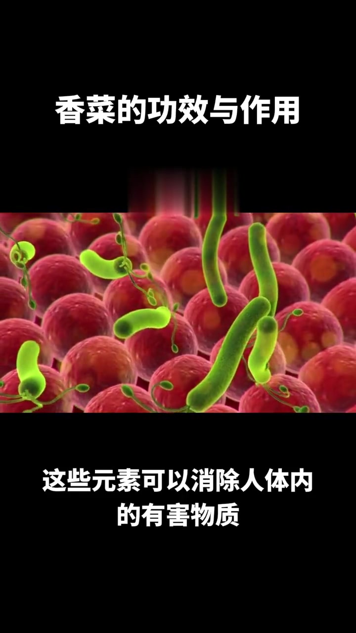 养生健康：香菜的功效与作用