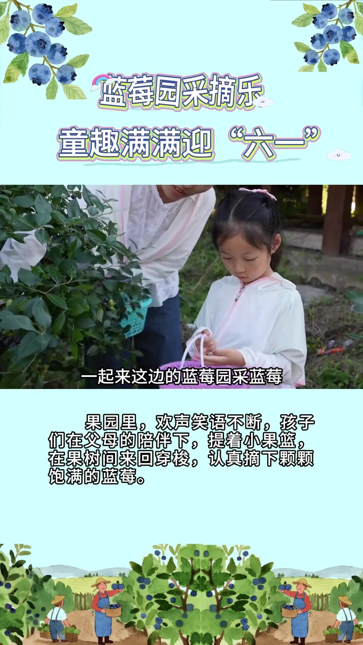 蓝莓园采摘乐 童趣满满迎“六一” 摄制/王子艺 谭潇