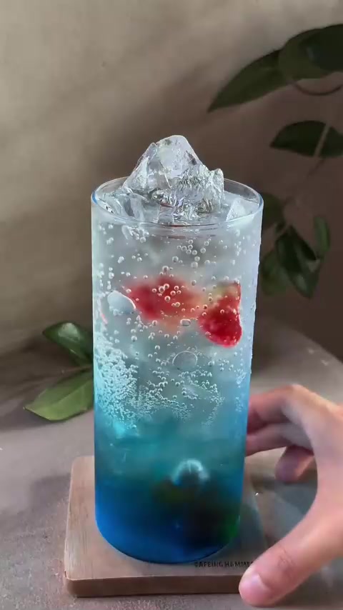 金鱼气泡水