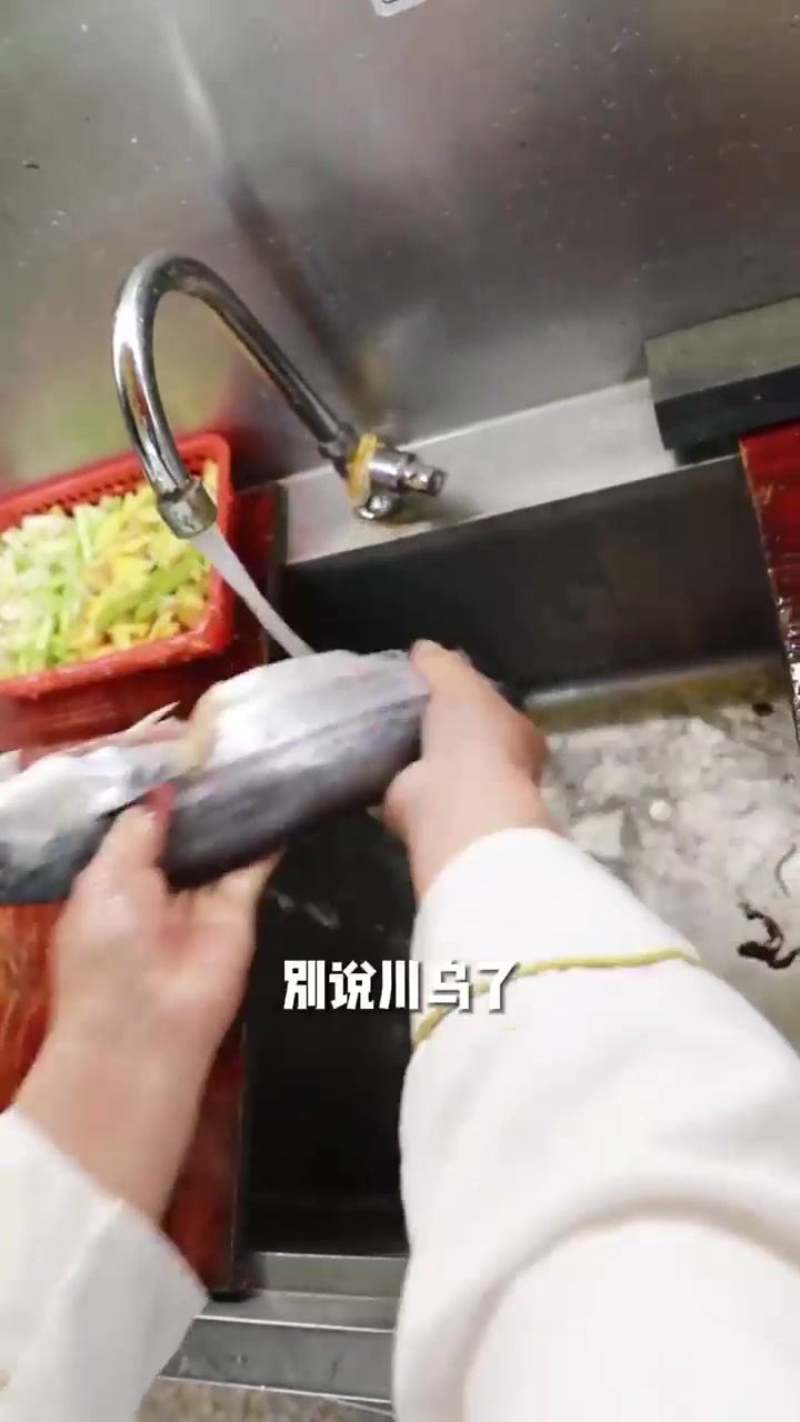 听说舟山人眼里所有马鲛鱼都是马鲛鱼