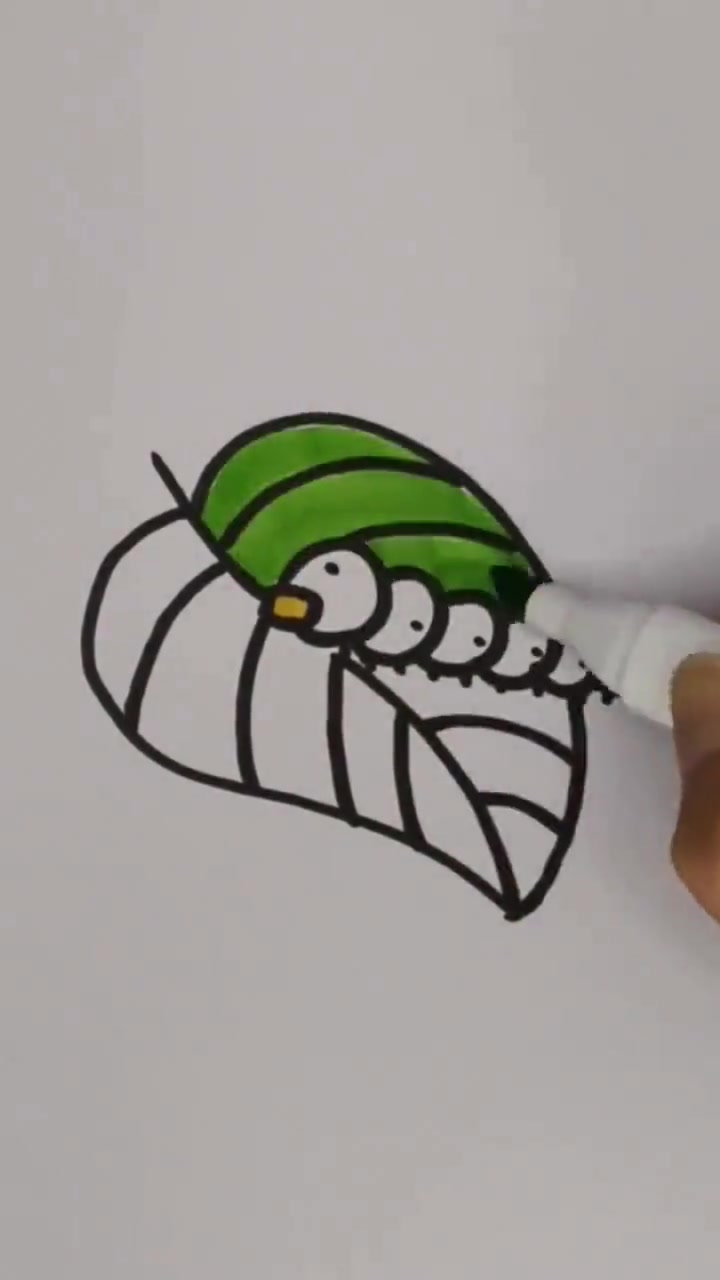 蚕宝宝简笔画、蚕宝宝成长记教程