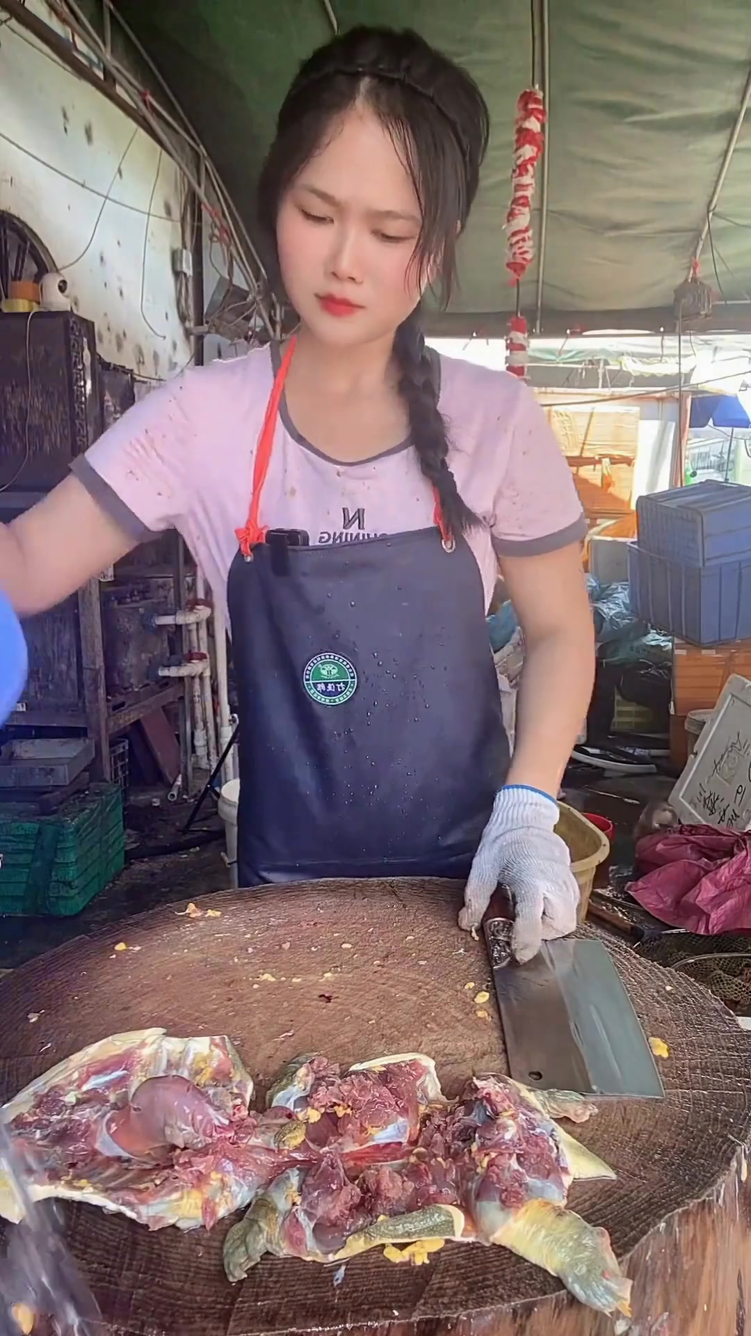 甲鱼水鱼鳖怎么杀 你们那叫啥 怎么烹饪呢