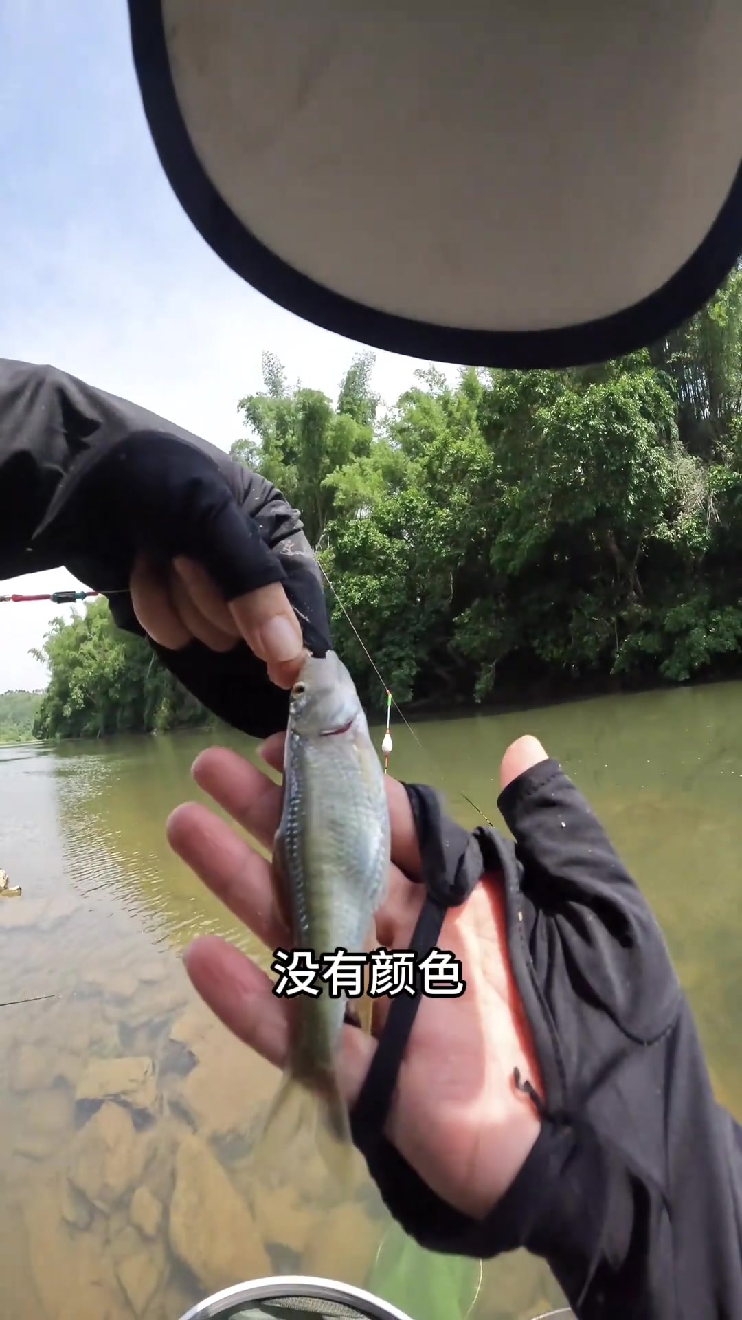 广西名菜黄豆焖河鱼，配上公文包，哪个来哪个跌