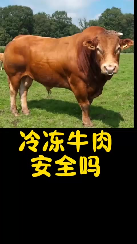 冷冻牛肉安全吗