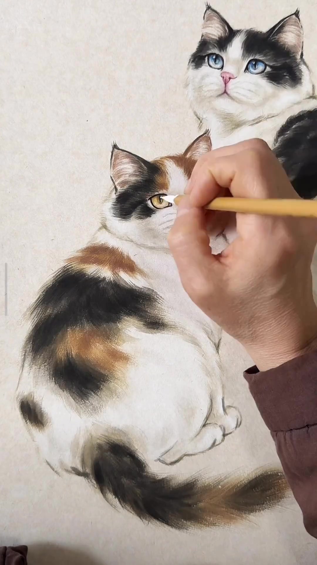 国画干货教程，零基础学画可爱小猫超简单