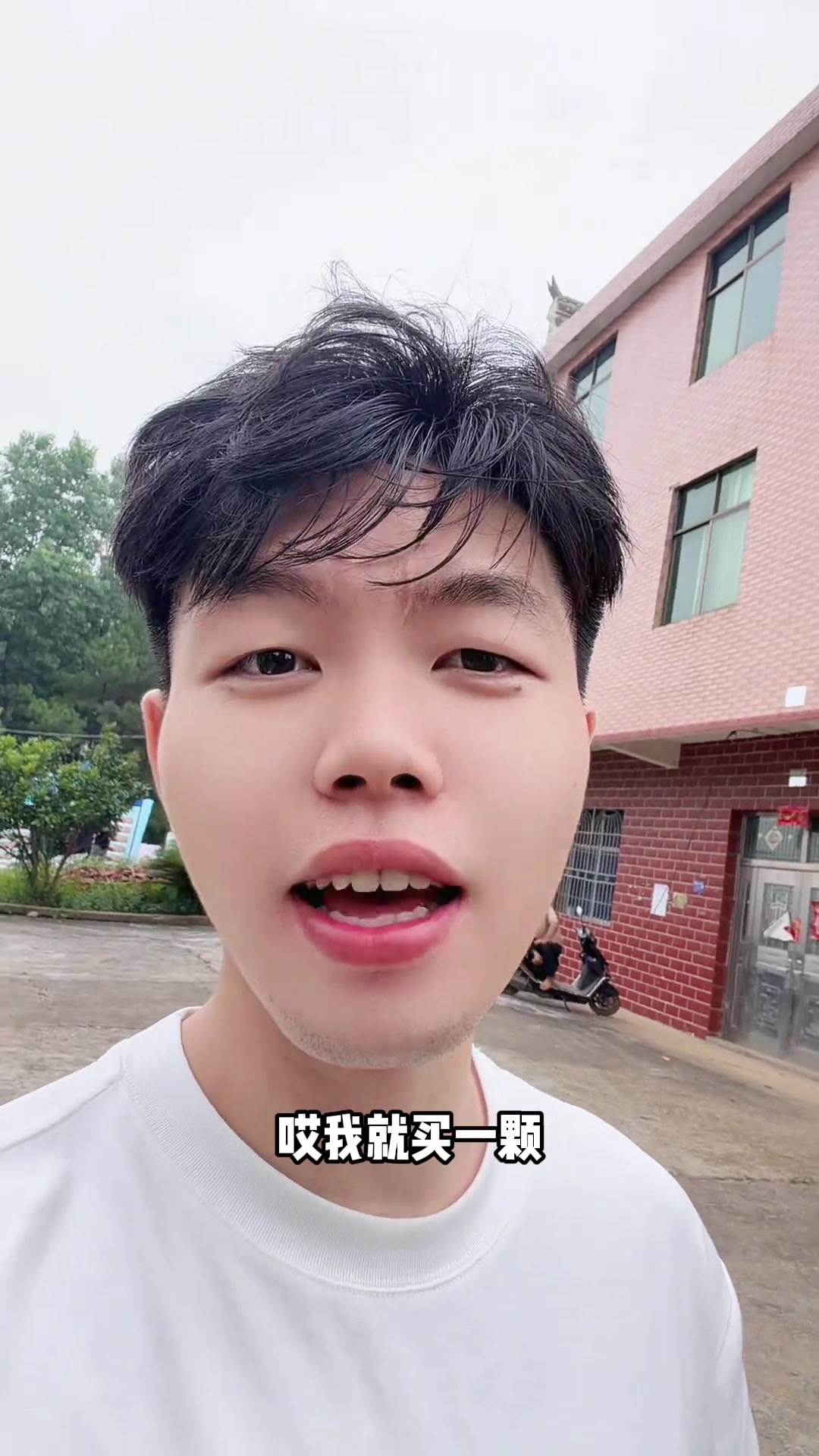 广东人买青菜只买一棵吗？