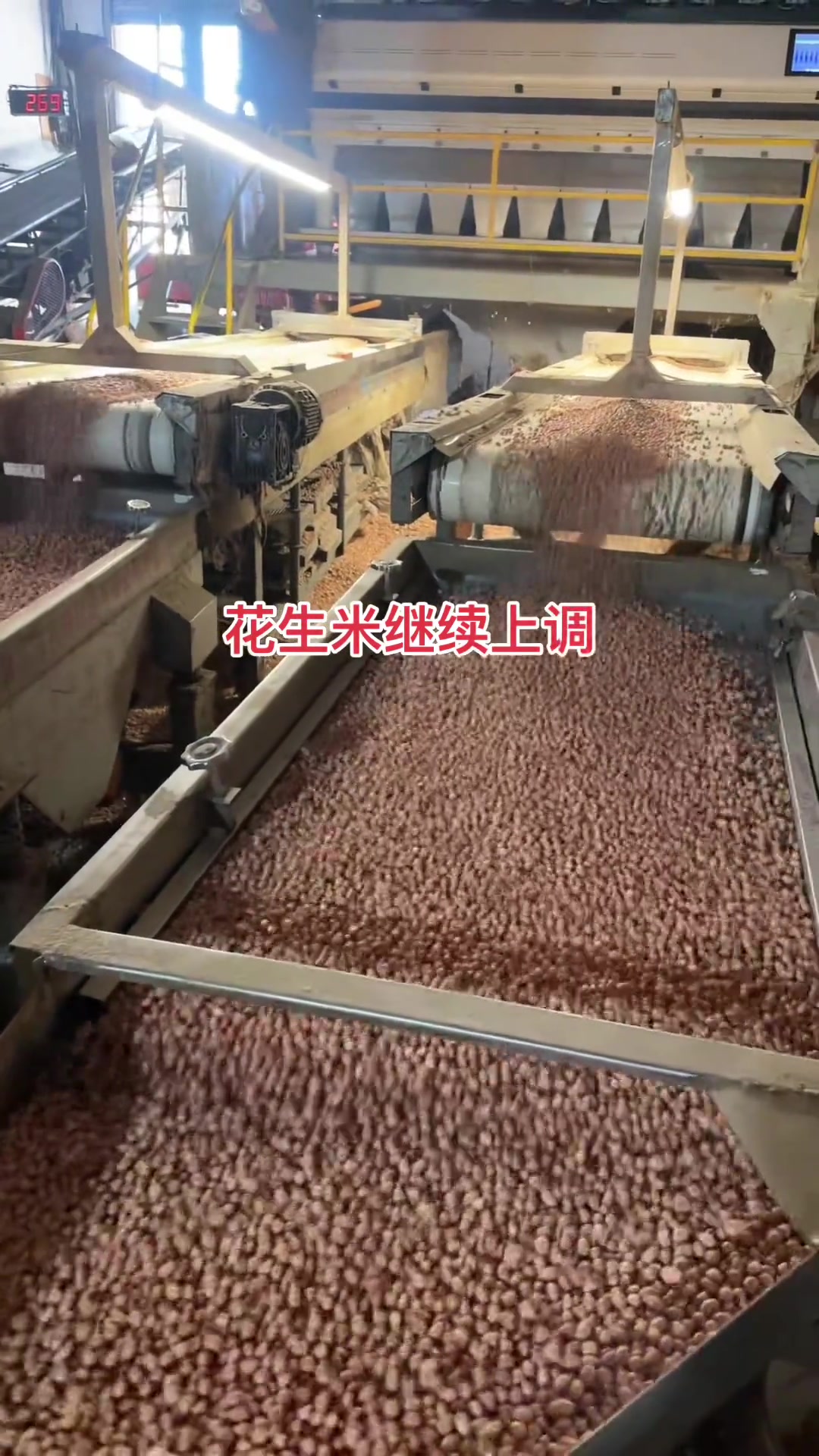 花生米价格持续上调，助农行动刻不容缓
