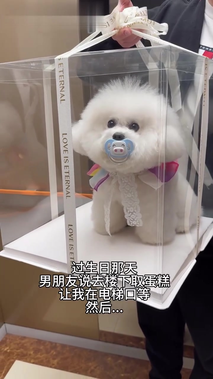 谁能拒绝过生日收到小狗蛋糕啊～