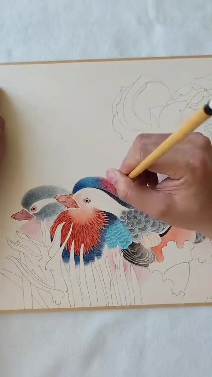 工笔画过程丨鸳鸯、荷花