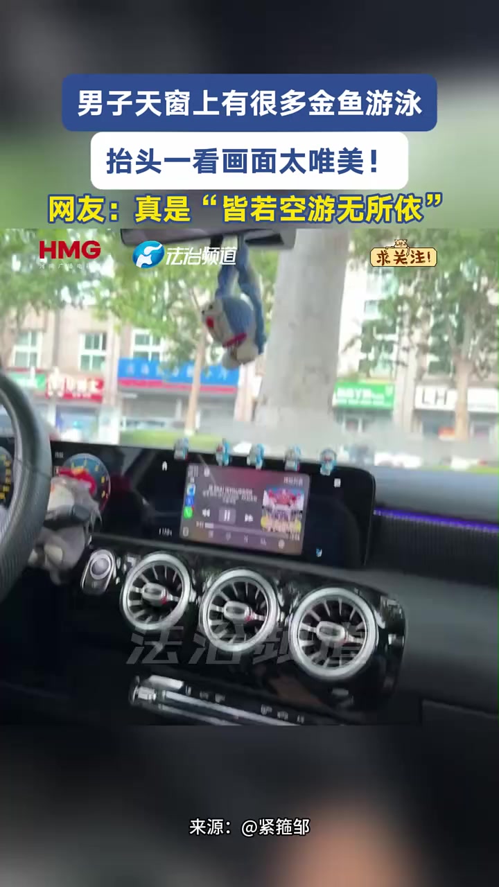 男子天窗上有很多金鱼游泳 抬头一看画面太唯美！网友：真是“皆若空游无所依”