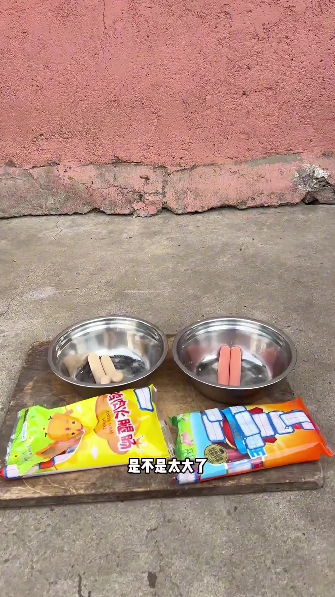 狗吃啥我吃啥，鸡肉火腿肠与猪肉火腿肠的萌宠日常