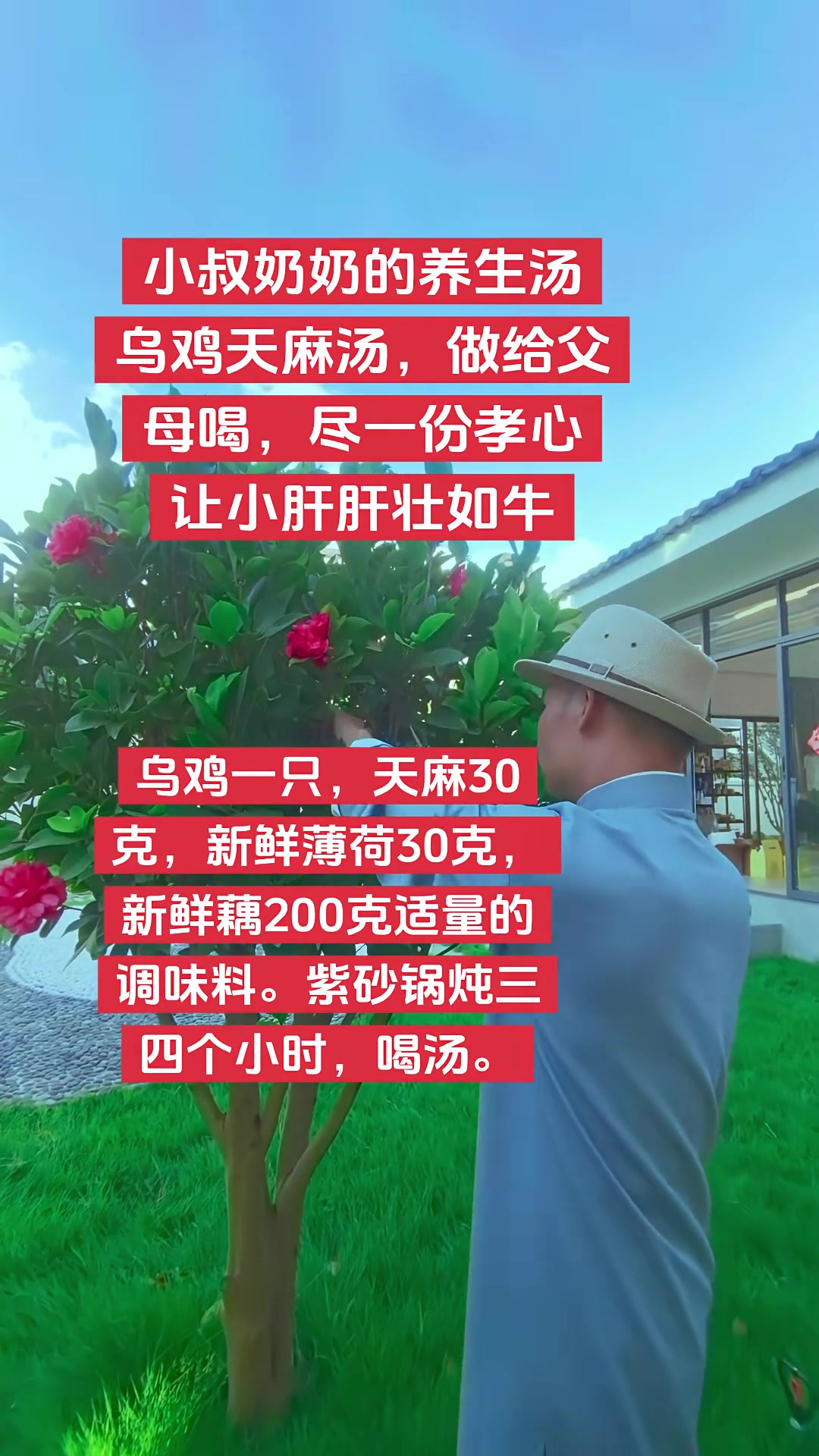 食疗小妙招：乌鸡天麻汤