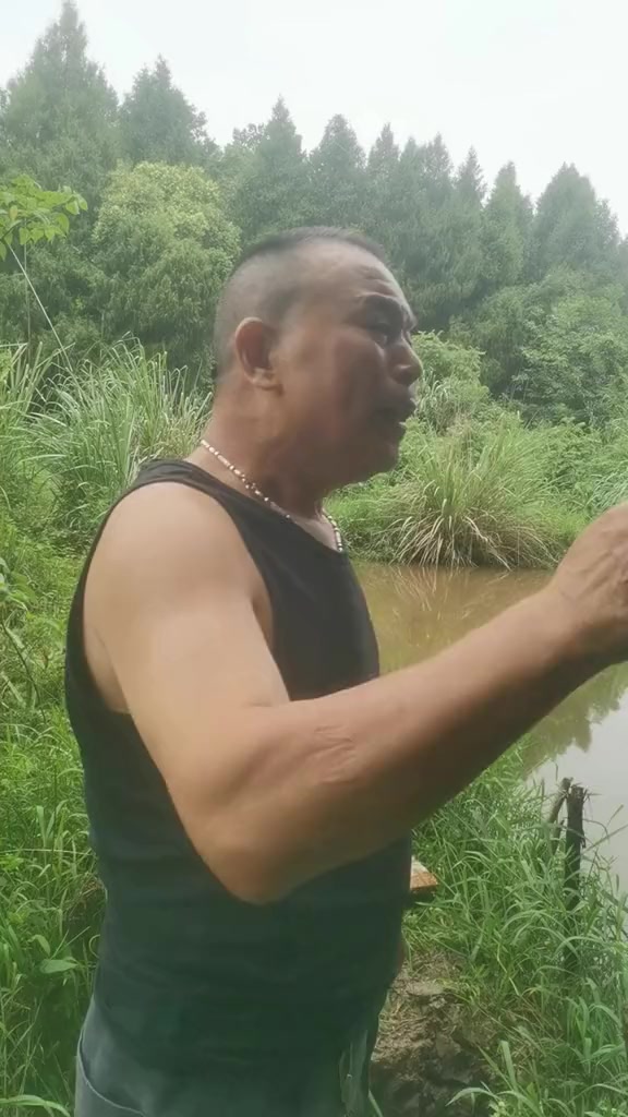 稻花鱼养殖正式启动，探索三农致富新路径
