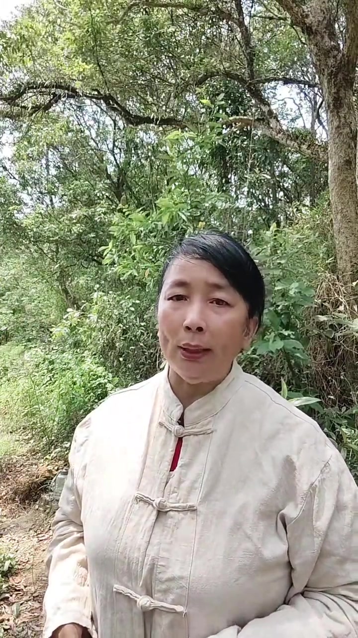 健康提醒：五指毛桃煲汤，搭配有讲究