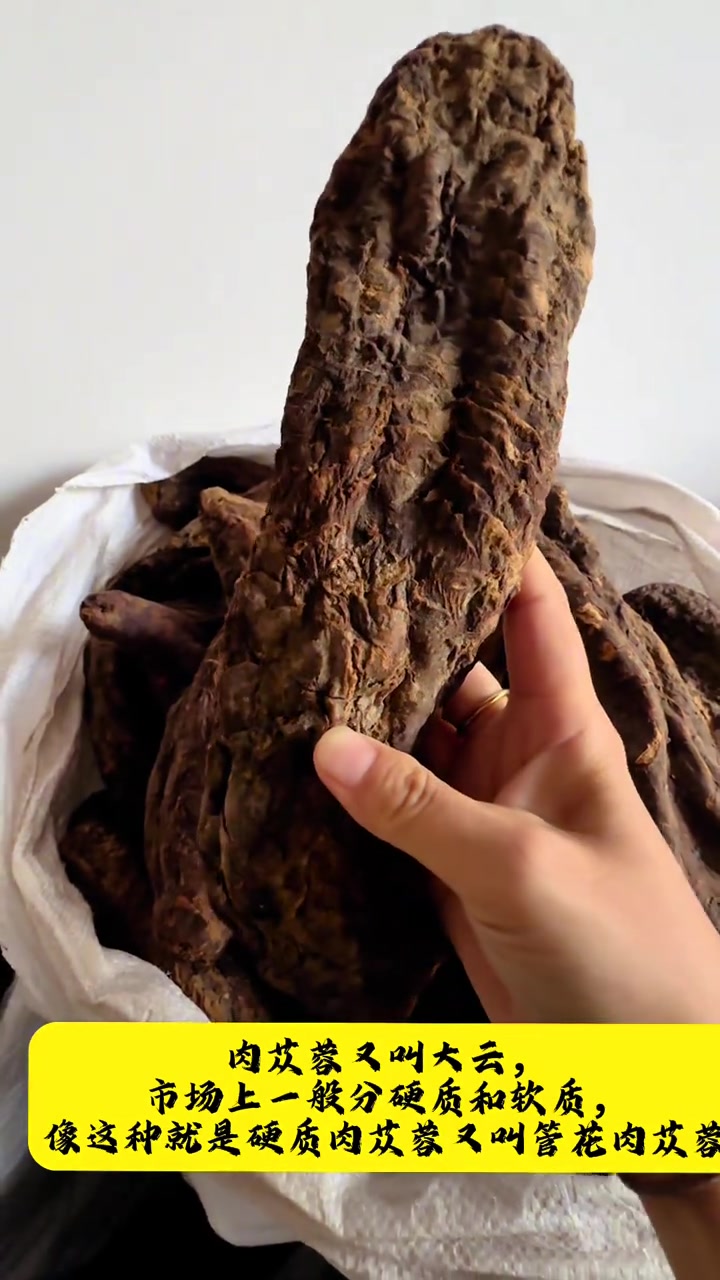 健康提醒，肉苁蓉选软质！