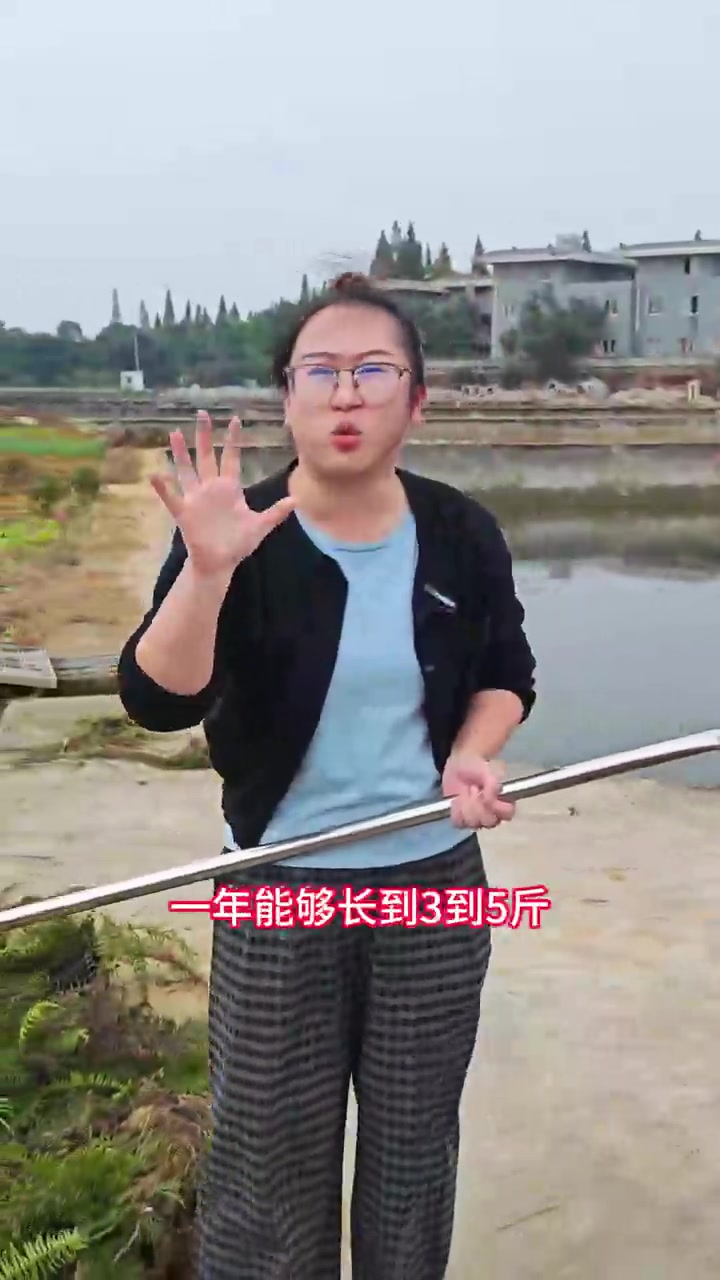 一年长得最快的五种淡水鱼，有这些