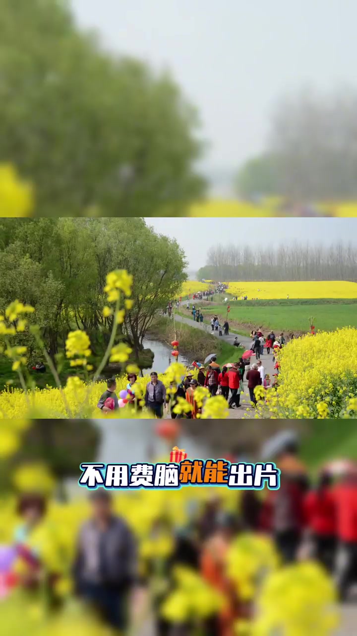 棉船镇油菜花海春日游玩全攻略指南