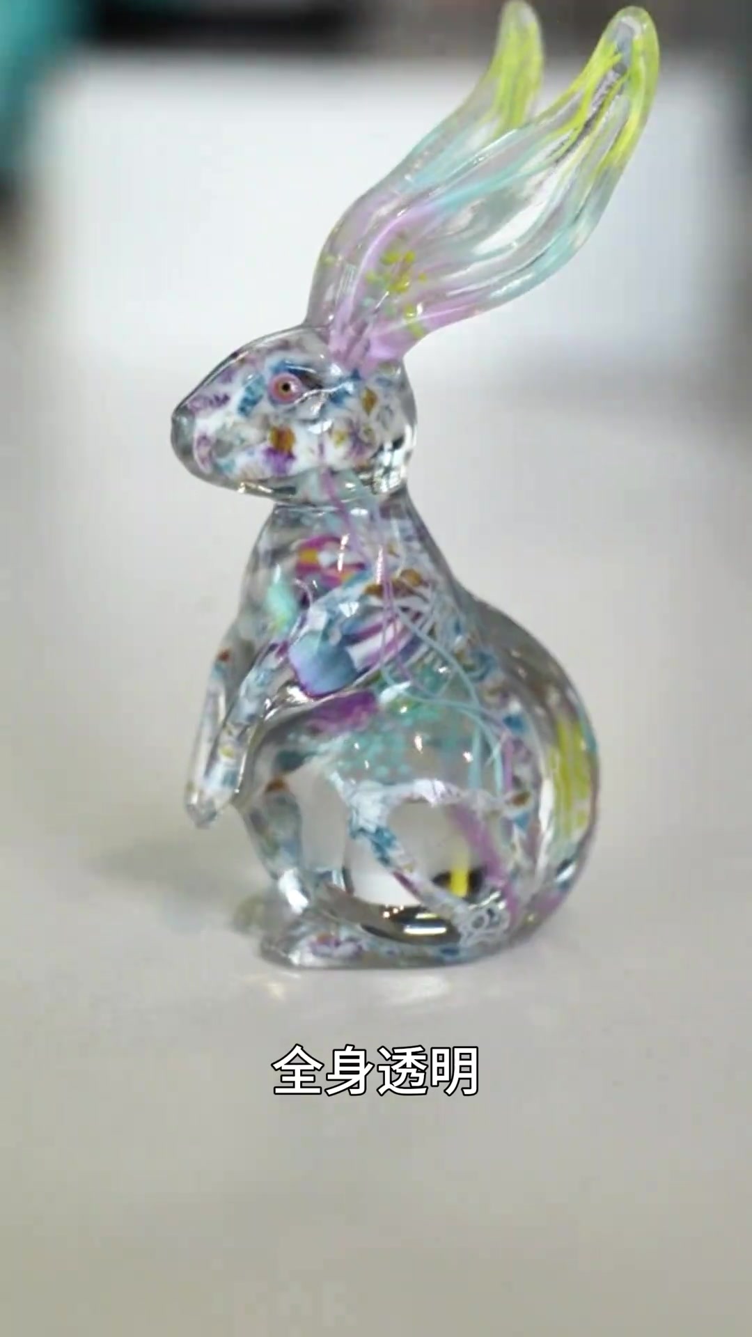 兔兔不臭，还有透明骨骼标本和可爱的动物模型摆件