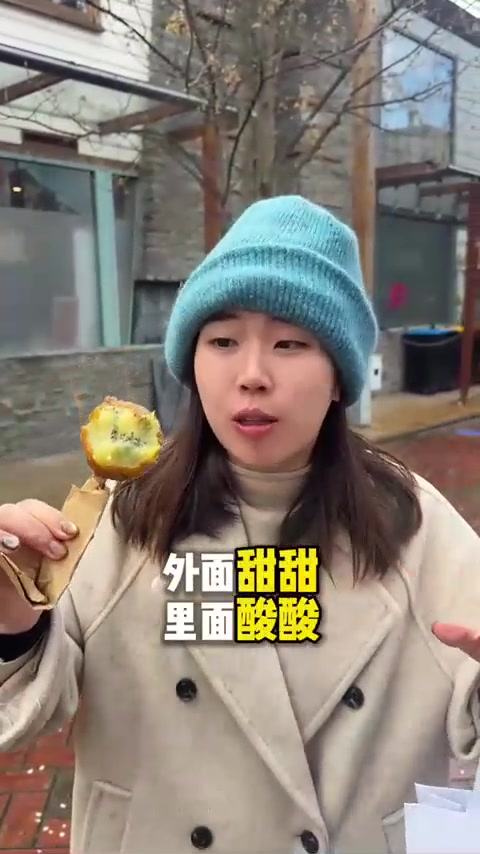 炸香蕉吃得多？来新西兰吃炸奇异果
