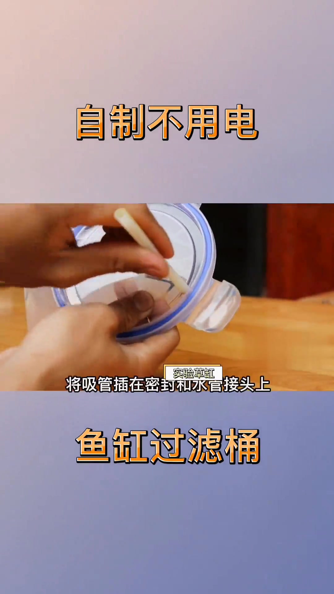 自制不用电的实用鱼缸过滤桶