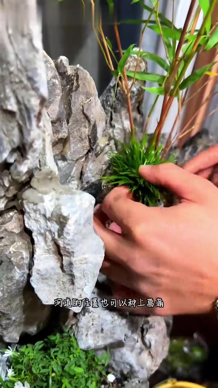 老水缸假山流水生态鱼缸给做出来了！教程来了！手把手教会大家！