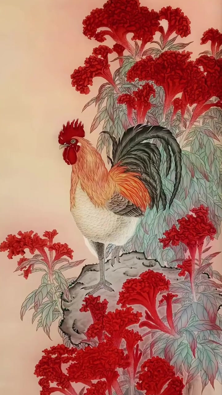 #知识播种计划 鸡冠花开红似火，雄鸡昂首兆丰年。工笔画鸿运当头金鸡报晓！#工笔画 #给手艺