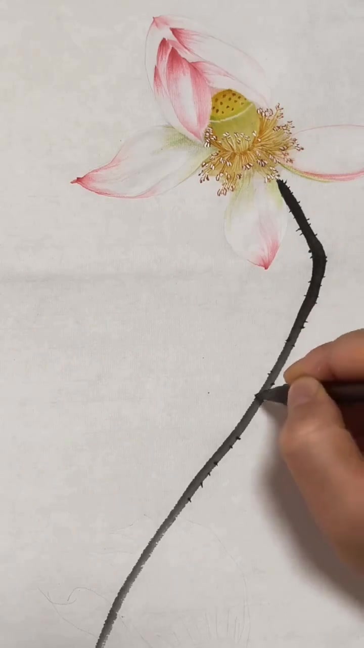 画国画里的荷花鱼，这样画是不是特别好看