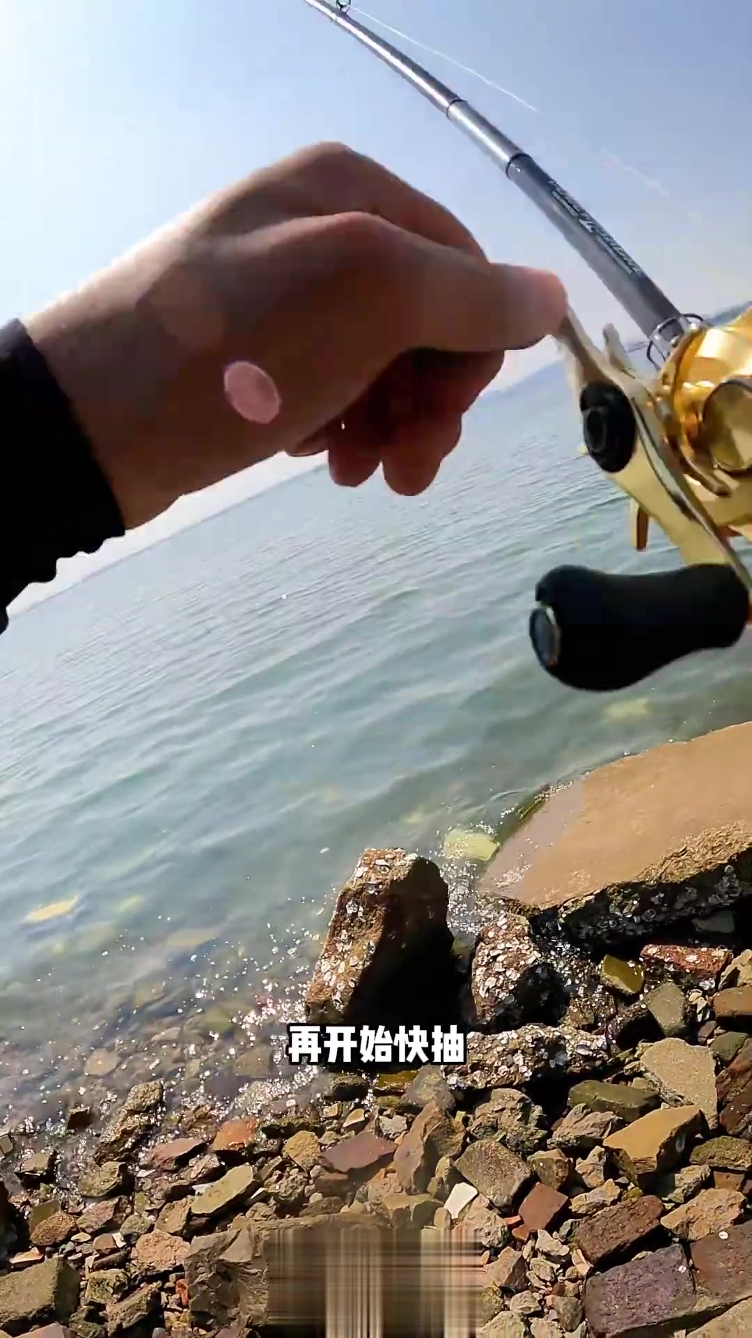 福建厦门的烟仔鱼，广东鱼群要走，厦门也快了