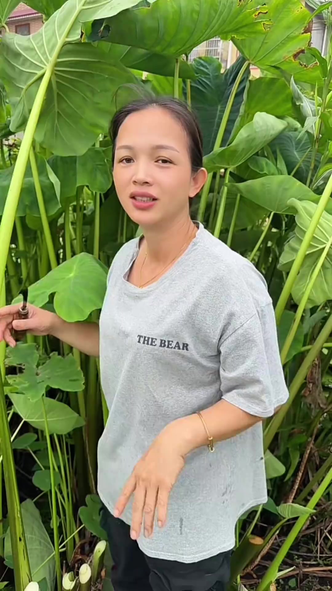 祖祖辈辈传下的腌制咸菜手艺，芋头苗下饭菜，简单开胃