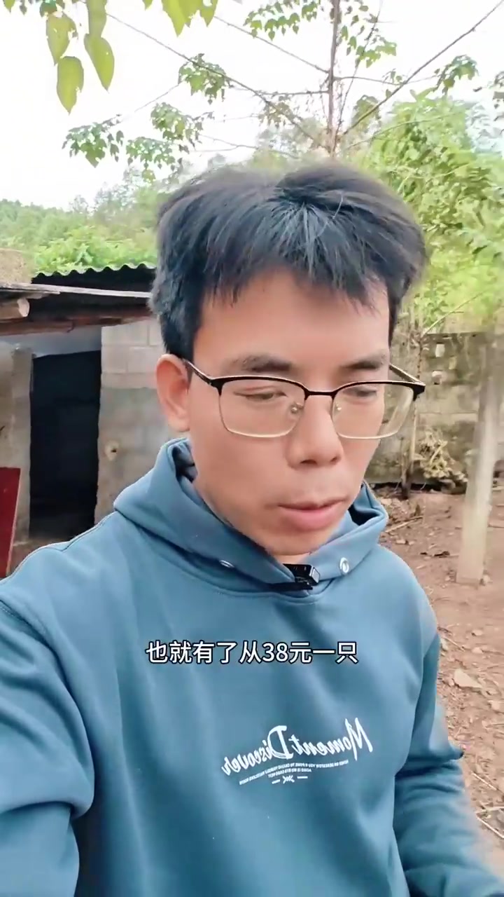 解析土鸡价格区间及养殖成本之构成