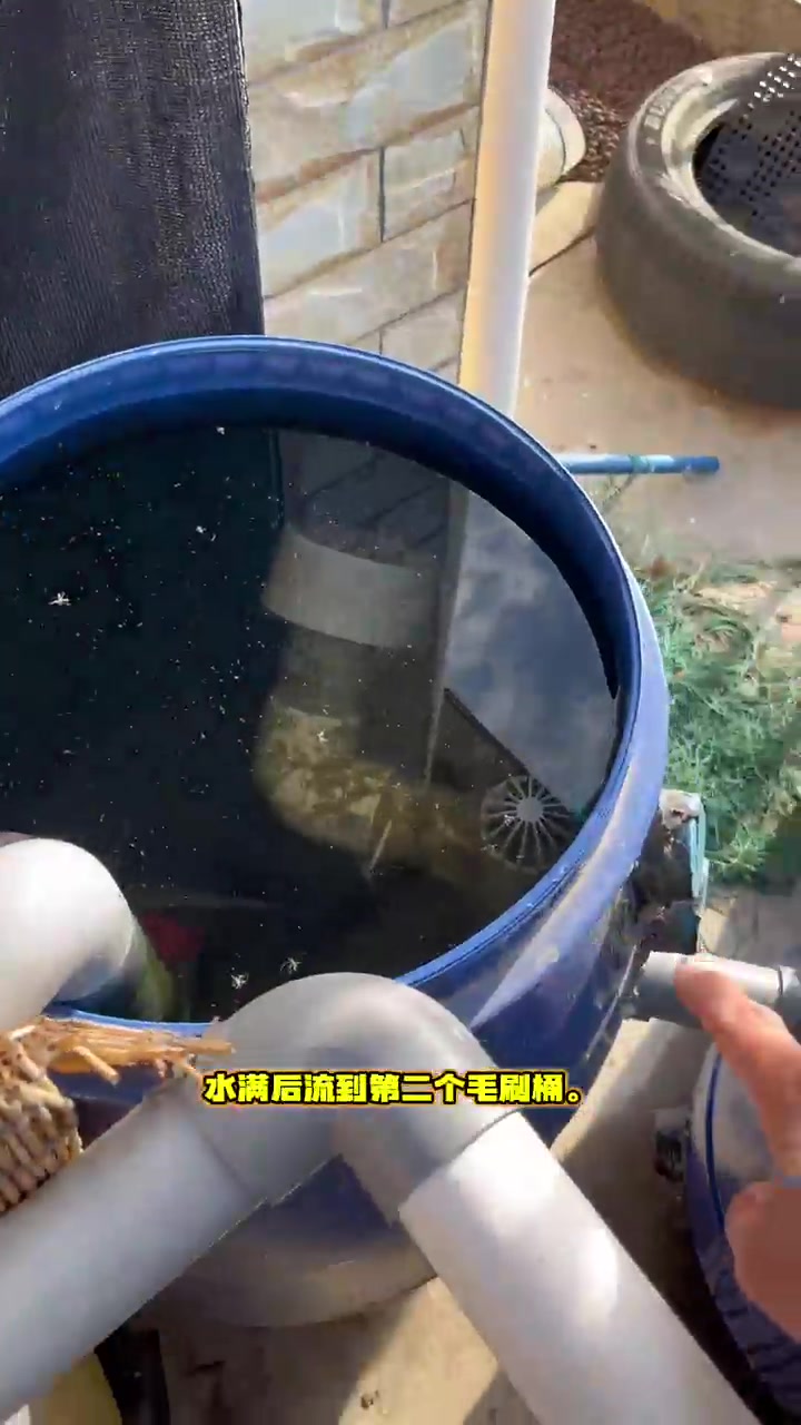 罗非鱼真的没有这么难养！