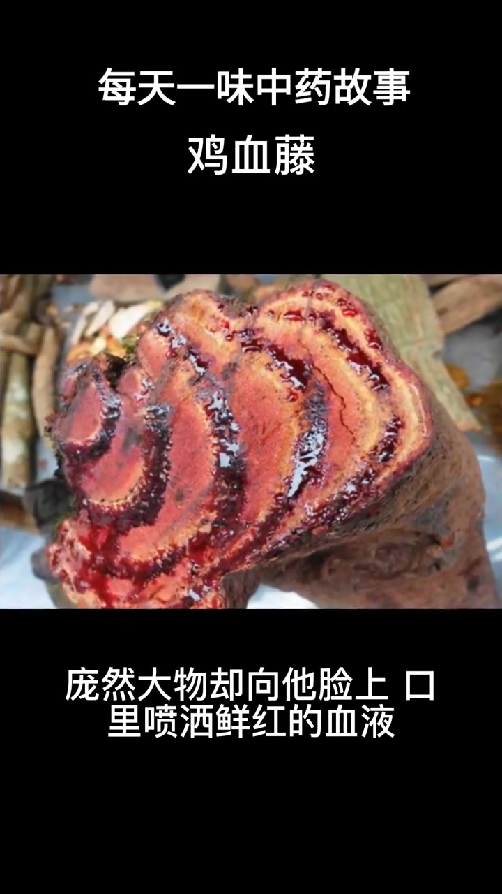 每天一味中药故事：鸡血藤