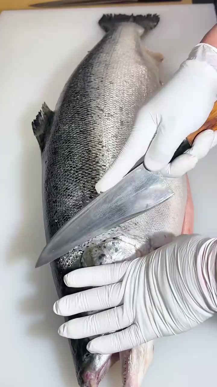 三文鱼刺身
