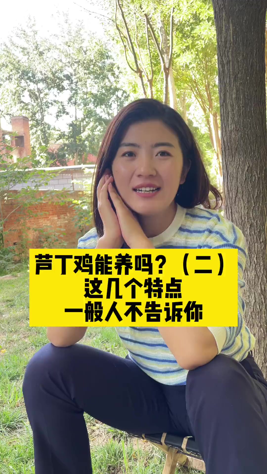 芦丁鸡几个不为人知的特点