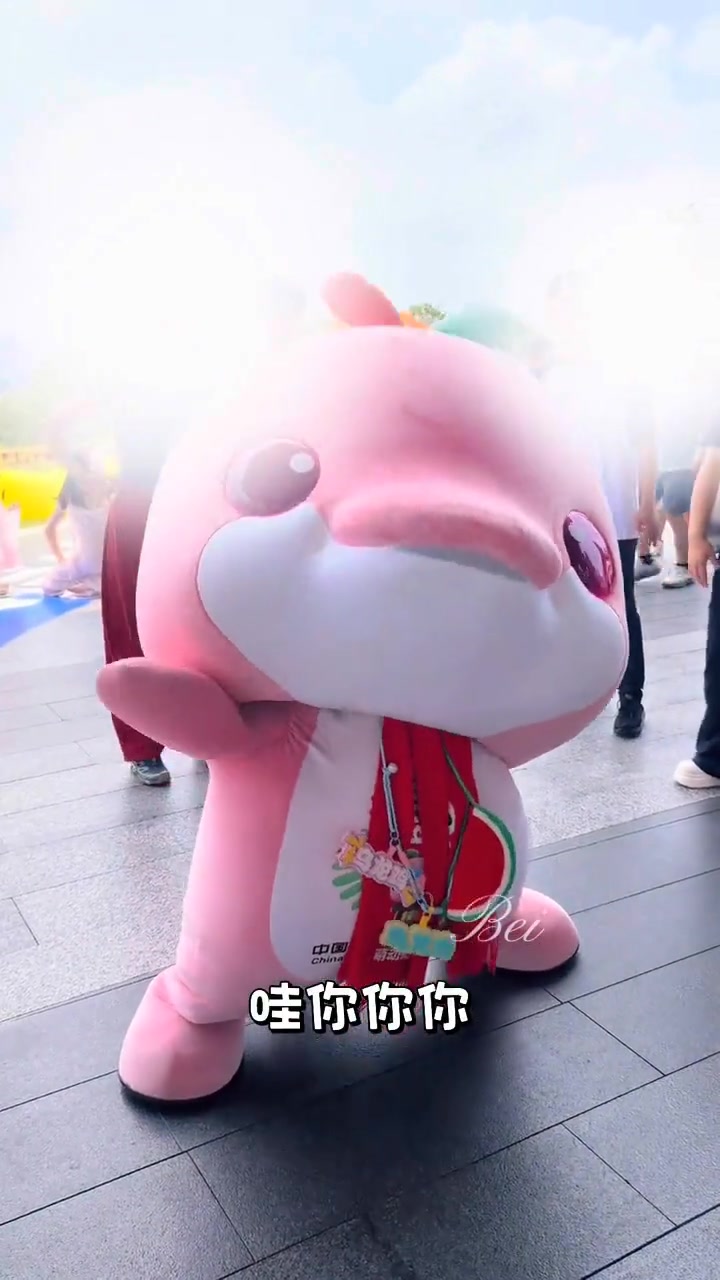 乌龙cos企鹅变身，可爱爆棚的小企鹅