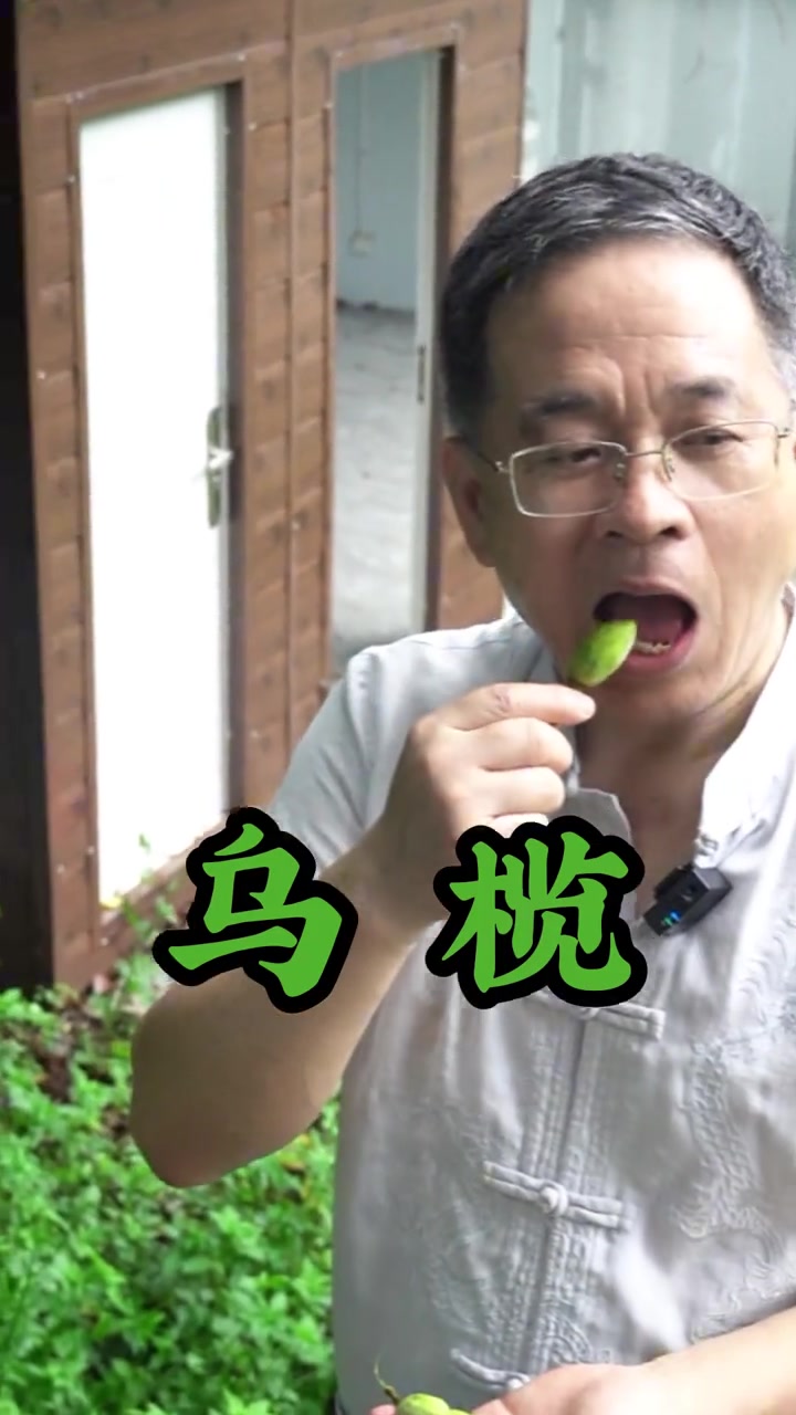 健康提醒：橄榄是药食同源的健康密码