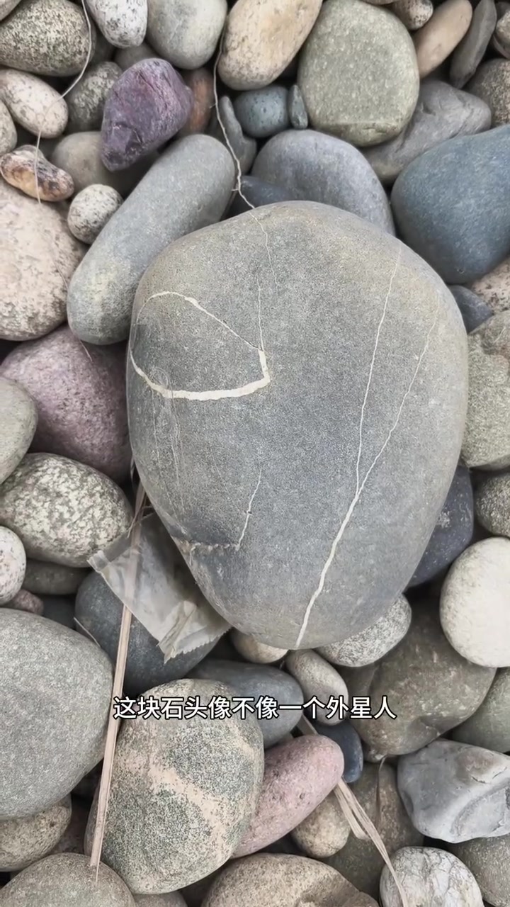 又去河滩捡石头，用来做鱼缸的造景