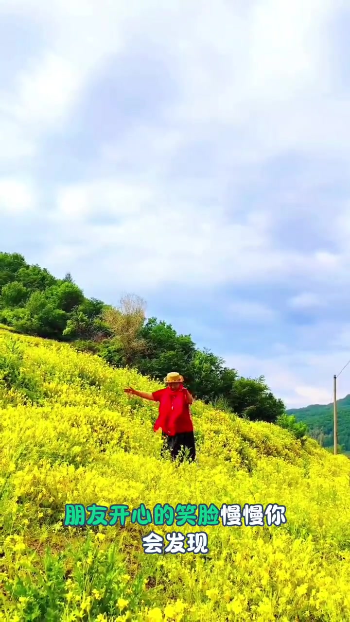 黄花漫山 大山深处油菜花海 奔跑在花海里的小山村