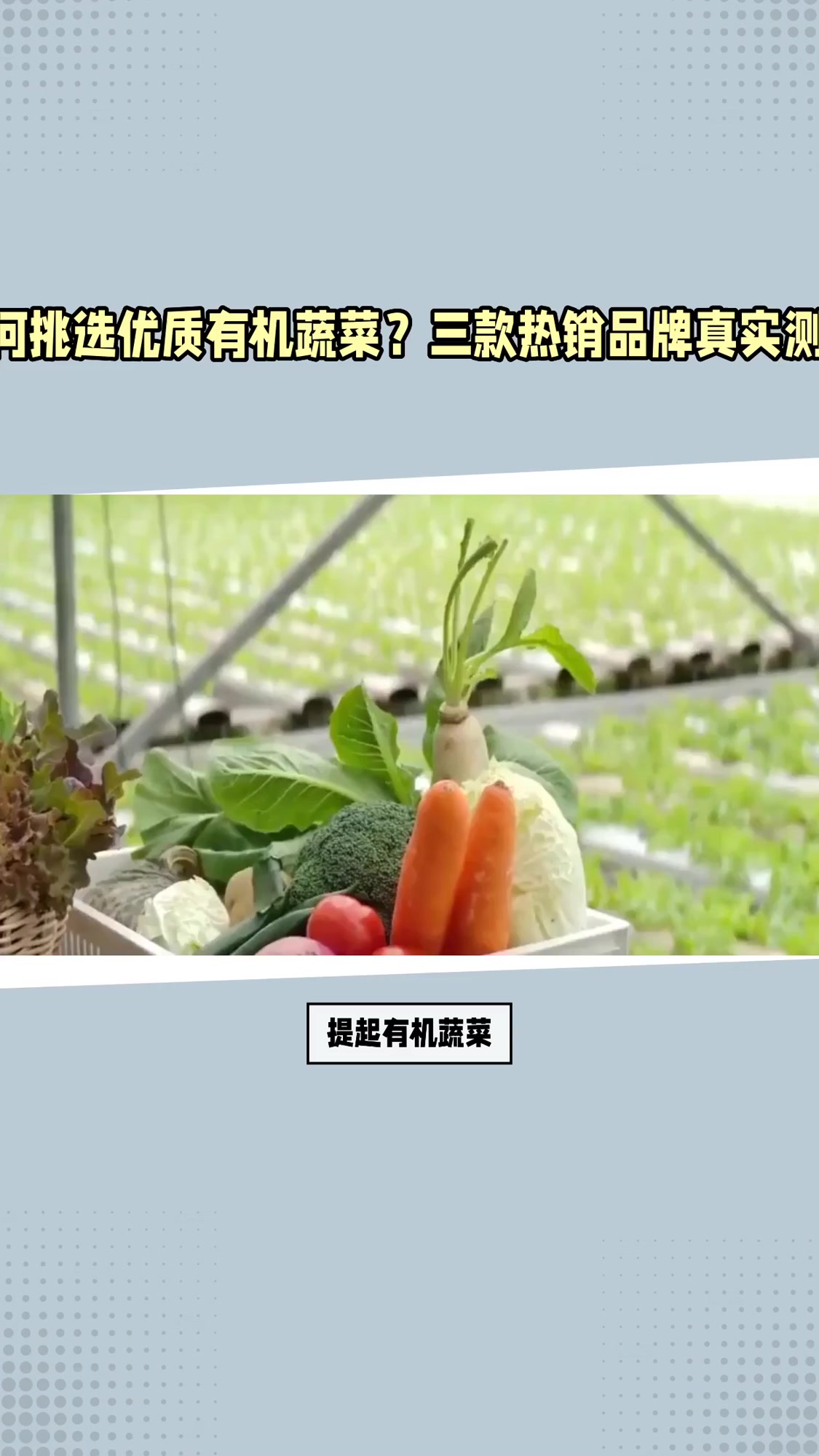 有机蔬菜买什么样的好？如何挑选有机蔬菜，三大妙招省心又放心