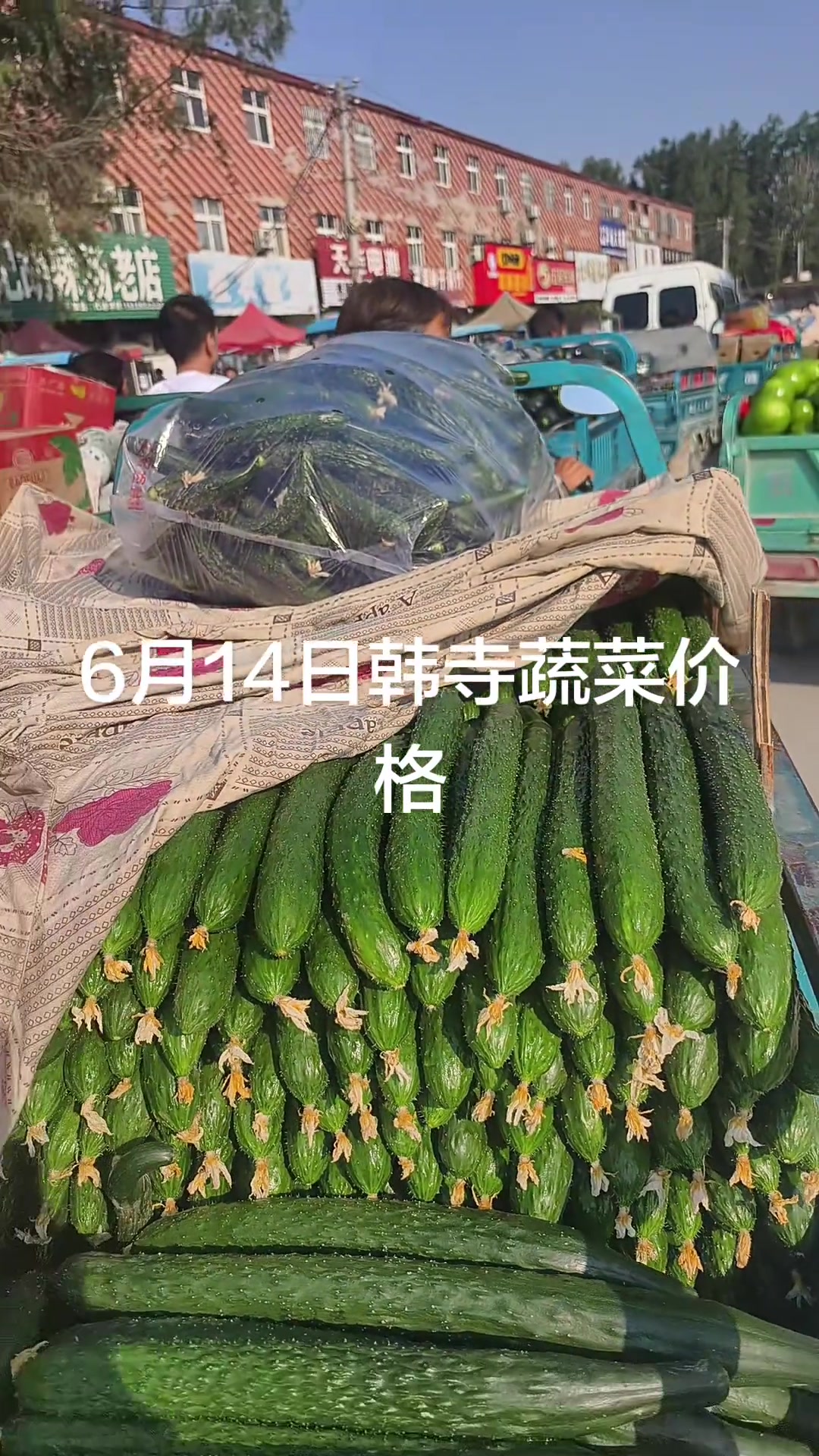 韩寺批发市场蔬菜价格
