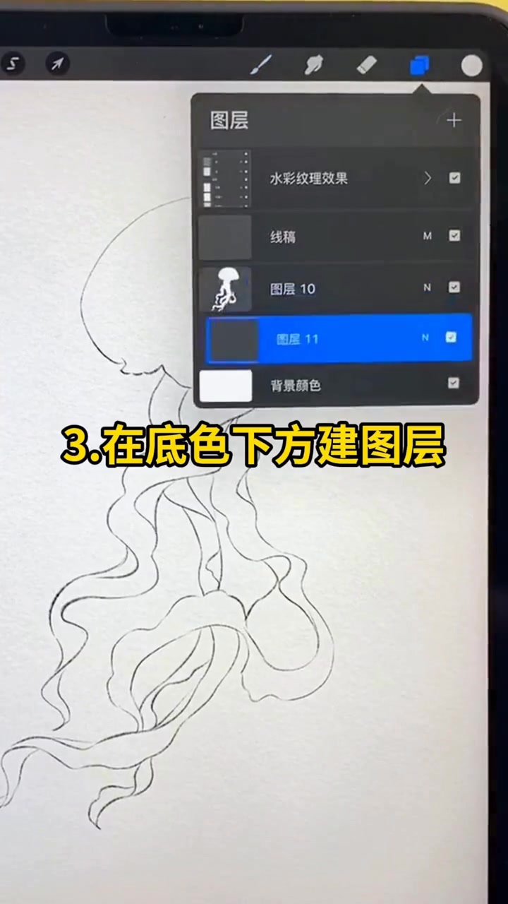 零基础入门，手把手教你画procreate水彩水母教程