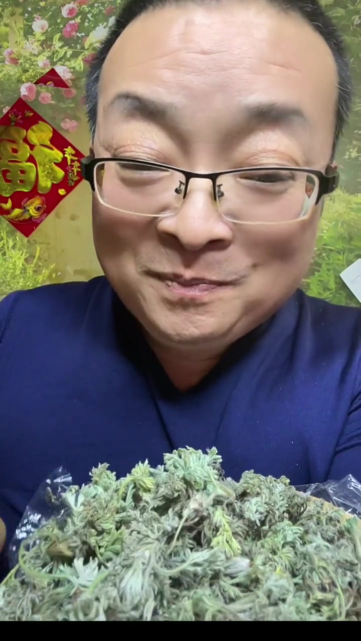 养生健康：茵陈与白蒿，野菜与茶饮的妙用